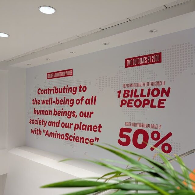 Wall Vinyl Printing - Image 2