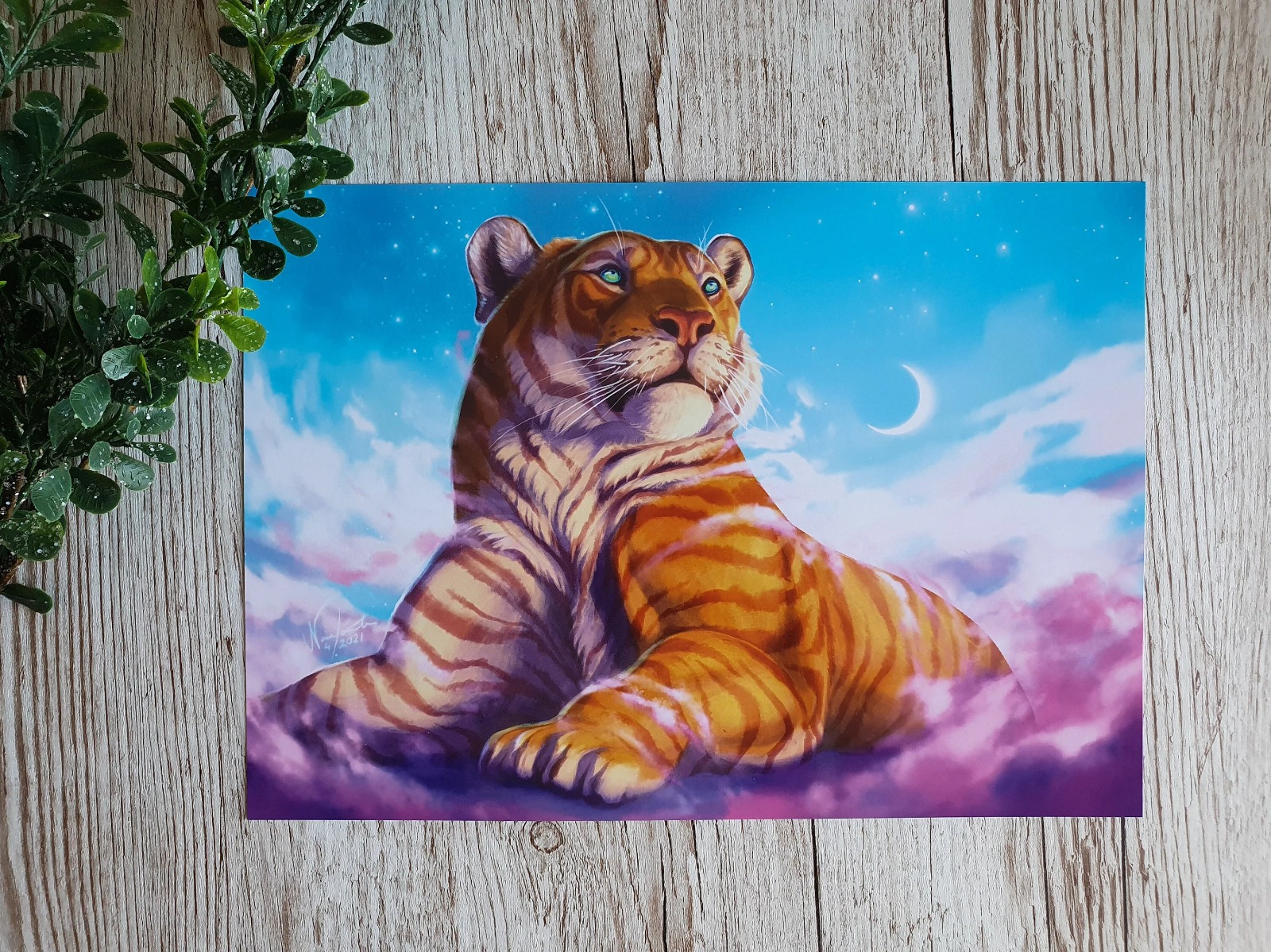 Laminated Vinyl Printing - Image 3