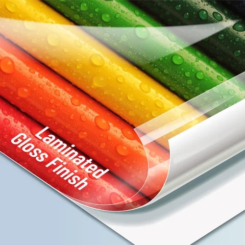 Gloss Finish Vinyl